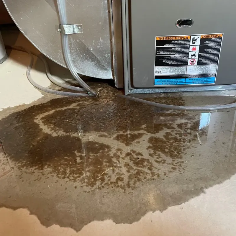 Pipe Burst and Leak Restoration in Schuyler County, MO
