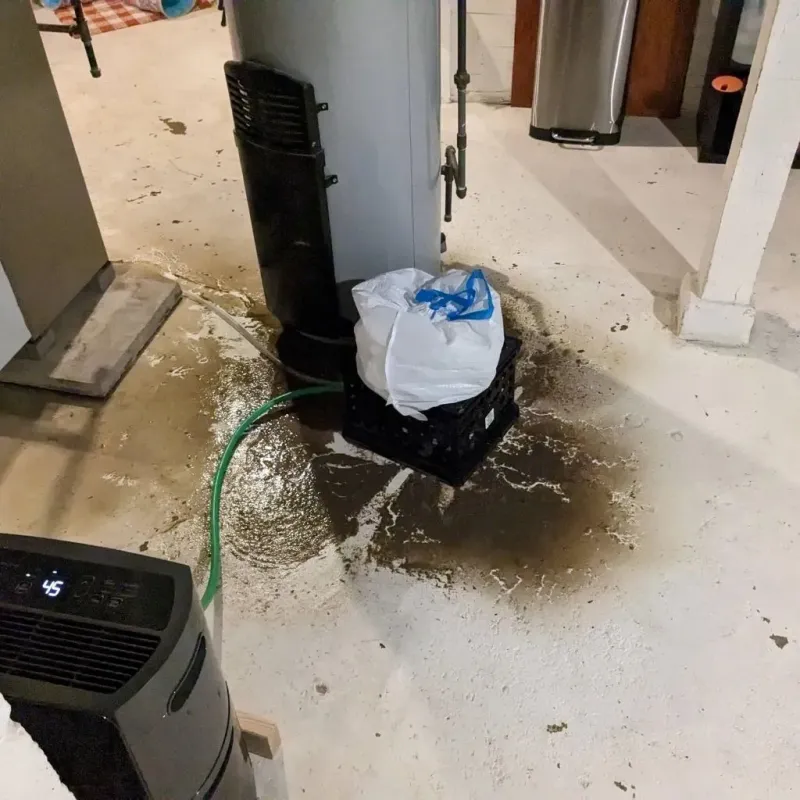 Sewage Backup Cleanup Service in Schuyler County, MO
